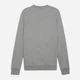Свитшот для футбола мужской Puma Teamgoal Casuals 65859233 S Medium Gray Heather-White (4099686902827) - изображение 7