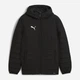 Куртка демисезонная с капюшоном мужская Puma Teamadditions 65979503 M Black-Silver (4067984092380) - изображение 6
