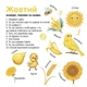 Вивчаємо кольори, слова, цифри - изображение 7