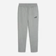 Спортивные штаны мужские утепленные Puma Essentials Foundation 68261003 S Medium Gray Heather (4067983630859) - изображение 6