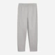 Спортивные штаны мужские Puma Evostripe 68823463 S Gray Echo (4069157434904) - изображение 5