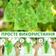 Сетка-мешочек для защиты винограда и фруктов от ос и птиц, 29×19 см, 10 шт - изображение 3
