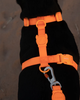 Шлейка для собак Zee.Dog Neopro Tangerine Розмір S (63581) - зображення 5
