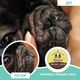 Бальзам для складочок Wrinkle Balm Natural Dog Company 59мл туба (ND-WRBM-2T) - зображення 3