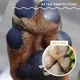 Бальзам для защиты лап Paw Tection Natural Dog Company 59мл стик (ND-PAWT-2S) - изображение 5