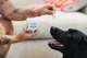 Серветки для очей Eye Wipes Natural Dog Company, 50 шт - зображення 6