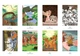 Розмальовка номерів Disney Hachette Coloriages mysteres Petites bêtes Франція - зображення 3