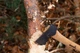 Топор Hultafors Premium Trekking Axe Hultan 0.5 - изображение 7