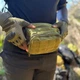 Тактична (армійська) сумка для аксесуарів на пояс (поясна сумка), через плече (коричневий. хакі) - зображення 6
