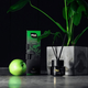 Dyfuzor z pałeczkami zapachowymi Erla Home Ritha PURE AIR 100 ml (5906534019967) - obraz 4