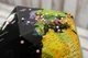 Объёмный 3D глобус «My pin map, black globe» - изображение 4