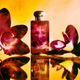 Одеколон унісекс Jo Malone Dark Amber & Ginger Lily Intense 100 мл (690251122431) - зображення 4