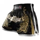 Тайские шорты Hayabusa Premium Muay Thai Shorts Black (HPM-BL-36) - изображение 5