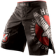 Шорты Hayabusa Spirit of the Fighter Fight Shorts (SOTFS-36) - изображение 1