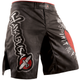 Шорты Hayabusa Spirit of the Fighter Fight Shorts (SOTFS-36) - изображение 2