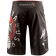 Шорты Hayabusa Spirit of the Fighter Fight Shorts (SOTFS-36) - изображение 4