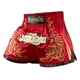 Тайские шорты Hayabusa Premium Muay Thai Shorts Red (HPM-RD-36) - изображение 1