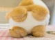 Плюшевая Игрушка Little Puppy Мягкий Плюшевый Щенок Корги 20 см (00663) - изображение 2