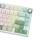 Клавіатура Ігрова ROYAL KLUDGE R75 Біло-Салатова Дротова Механічна, RGB Підсвічування, З Підтримкою HOT-SWAP. Silver Switch - зображення 12