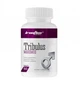 Трибулус IRONFLEX Tribulus Maximus 60tab повышение тестостерона,тестостероновый бустер - изображение 4