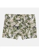 Труси H&M 270564310_combi S Зелений/Бежевий/Білий - изображение 2