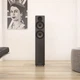 Підлогова акустична система Acoustic Energy AE109² Satin Black - изображение 3
