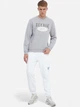 Свитшот мужской Reebok 3W Reebok Classics Big Logo 100036884 S Серый (4066763123611) - изображение 3