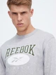 Свитшот мужской Reebok 3W Reebok Classics Big Logo 100036884 S Серый (4066763123611) - изображение 4