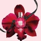 Парфумована вода для жінок Viktor & Rolf Flowerbomb Ruby Orchid 50 мл (3614273622622) - зображення 3