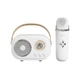 Портативна колонка з мікрофоном для караоке 5 Вт Platinum C-20 BT/TF/USB/FM з вологозахистом Біла - зображення 2