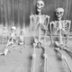 Скелет на Хэллоуин в полный рост (165 см) - изображение 3
