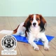 Охлаждающий коврик для собак Trixie XL-XXL 100 х 60 см Голубой (4011905286884) - изображение 8
