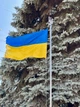 Флагшток сборный из нержавеющей стали с механизмом подъема и опускания флага 3.8м. С флагом. - изображение 5