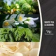 Ароматическая свеча в стекле Woodwick Medium White Tea & Jasmine 275 г (92062E) - изображение 3