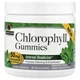 Природні добавки Хлорофіл смак м'яти Chlorophyll Gummies Nature's Answer 60 жувальних цукерок - зображення 1