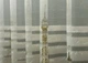 Тюль VR-Textil 1752т с принтом Париж Бежевый с белым 300х270 см (42-0784) - изображение 5