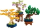 Конструктор LEGO Botanicals Мінідерева бонсай 709 деталей (10373) - зображення 2