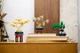 Конструктор LEGO Botanicals Мінідерева бонсай 709 деталей (10373) - зображення 10