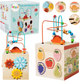 Zabawka drewniana Lean Toys Fun Intelligence Box (5905991043812) - obraz 1