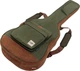 Чехол Ibanez IAB 541 MGN Moss Green (224100) - изображение 1