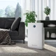 Очиститель воздуха Olimpia Splendid Aura Di (OS-99426) [139617] - изображение 6
