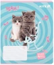 Набір шкільних зошитів Kite Studio Pets 12 аркушів у клітинку 25 шт (SP25-232) - зображення 9