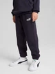 Подростковые спортивные штаны теплые на флисе для мальчика Puma Ess No. 1 Logo Sweatpants Fl B New 68491216 176 см Темно-синие (4067983634826) - изображение 1