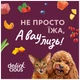 Влажный корм для кошек Delickcious Суп из курицы с ветчиной и добавлением шпината 80 г (4820269141599) - изображение 9