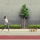 Поводок для собак WAUDOG R-leash светоотражающая лента XS-M до 40 кг 2.9 м розовый (81277) - изображение 5