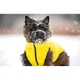 Курточка для животных Collar AiryVest "Colors of freedom" XS 25 (4440-4020) - изображение 2