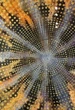 Эстетика и рельеф Узор DFA Круглый трафарет для покраски или декоративной штукатурки 65х65см, толщина 0,3-1 мм (C00016-d) - изображение 10