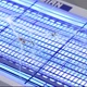 Лампа от комаров 12W, от сети, GECKO LTM-12W - изображение 6