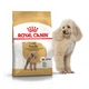 Сухий корм Royal Canin Poodle Adult для собак, 500 гр. - изображение 5