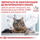 Вологий корм для дорослих котів ROYAL CANIN Роял канін SENSITIVITY CONTROL CHICKEN CAT Pouches 0.085 кг x 12 шт. - изображение 8